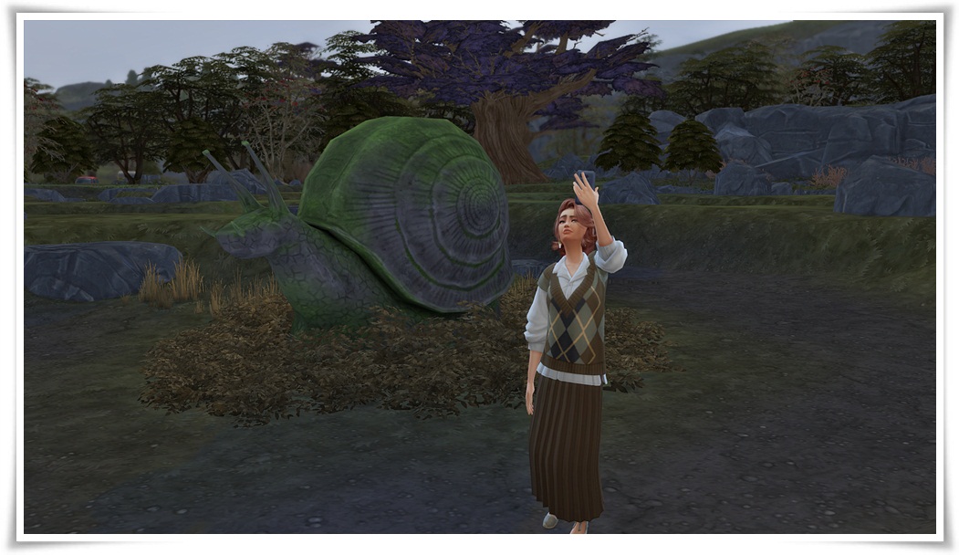 skamielina.jpg