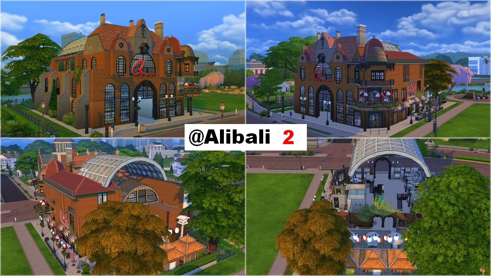 z1.jpg