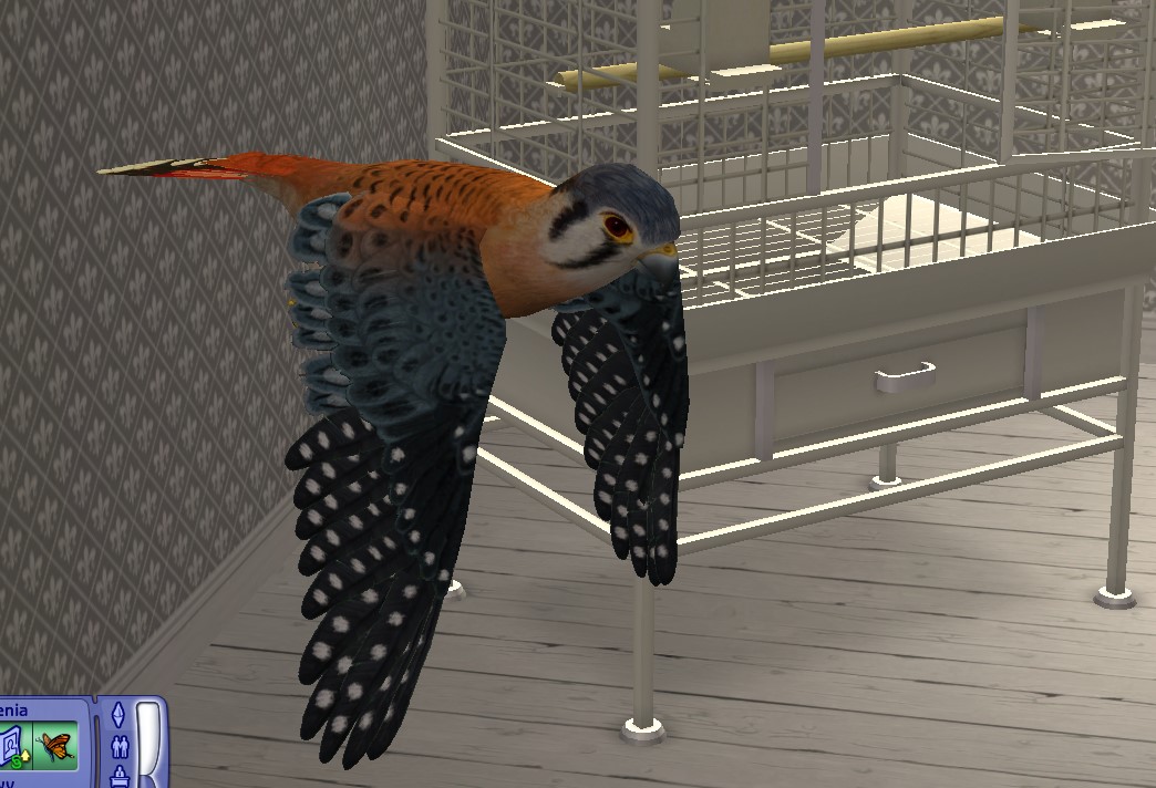 Screenshot_1.jpg