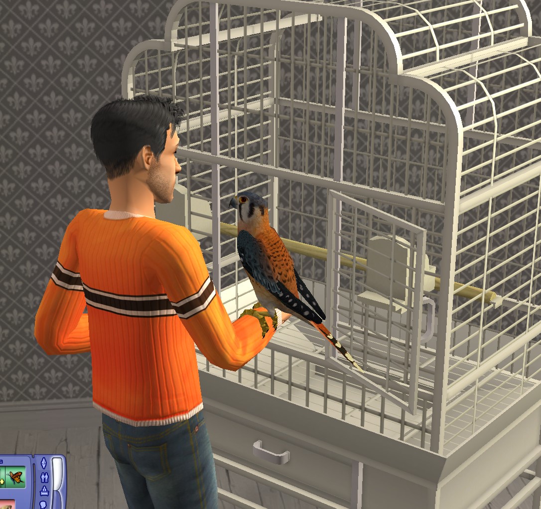 Screenshot_2.jpg