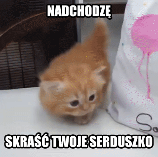 comment_8xKJtOaTTA8CJhMXbEJiNbwsMQz0aANG.gif