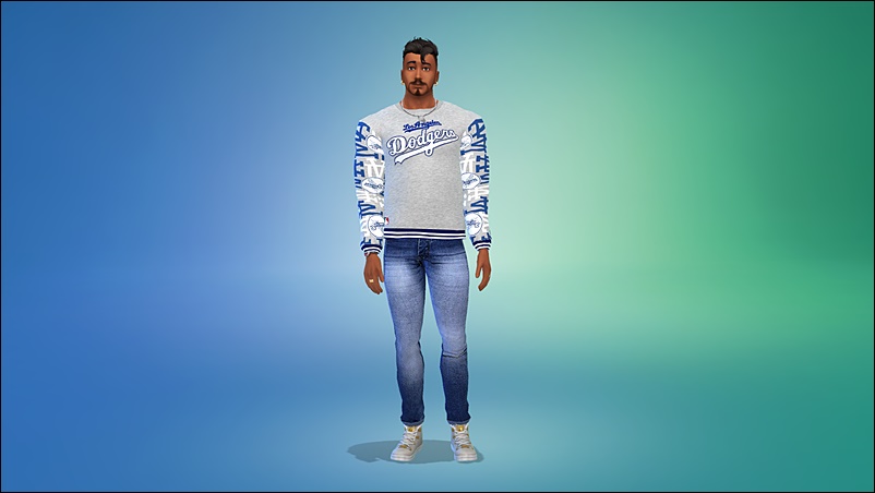 Dels - sylwetka.jpg