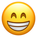 02-grinning-face-smiling-eyes :02-grinning-face-smiling-eyes:
