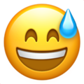 07-smiling-face-open-mouth-cold-sweat :07-smiling-face-open-mouth-cold-sweat: