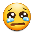 55S-crying-face :55S-crying-face: