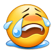 :56S-loudly-crying-face:
