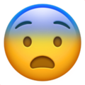 59-fearful-face :59-fearful-face: