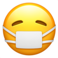 71-face-medical-mask :71-face-medical-mask: