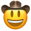 79-face-cowboy-hat :79-face-cowboy-hat: